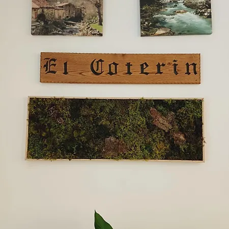 El Coterin 25 2*